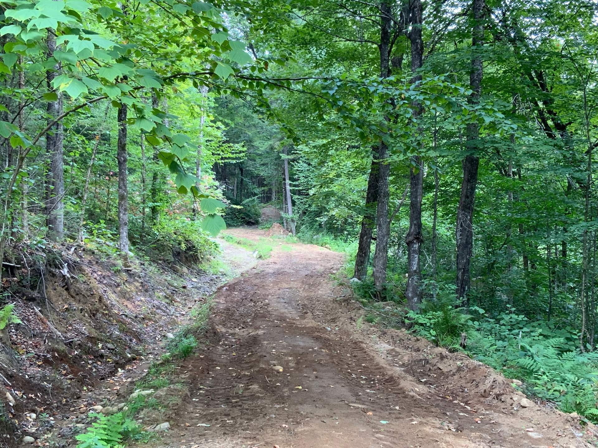 









131


Mtée Rochon

,
Ripon,







QC
J0V1V0

