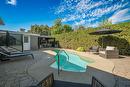 Backyard Backyard