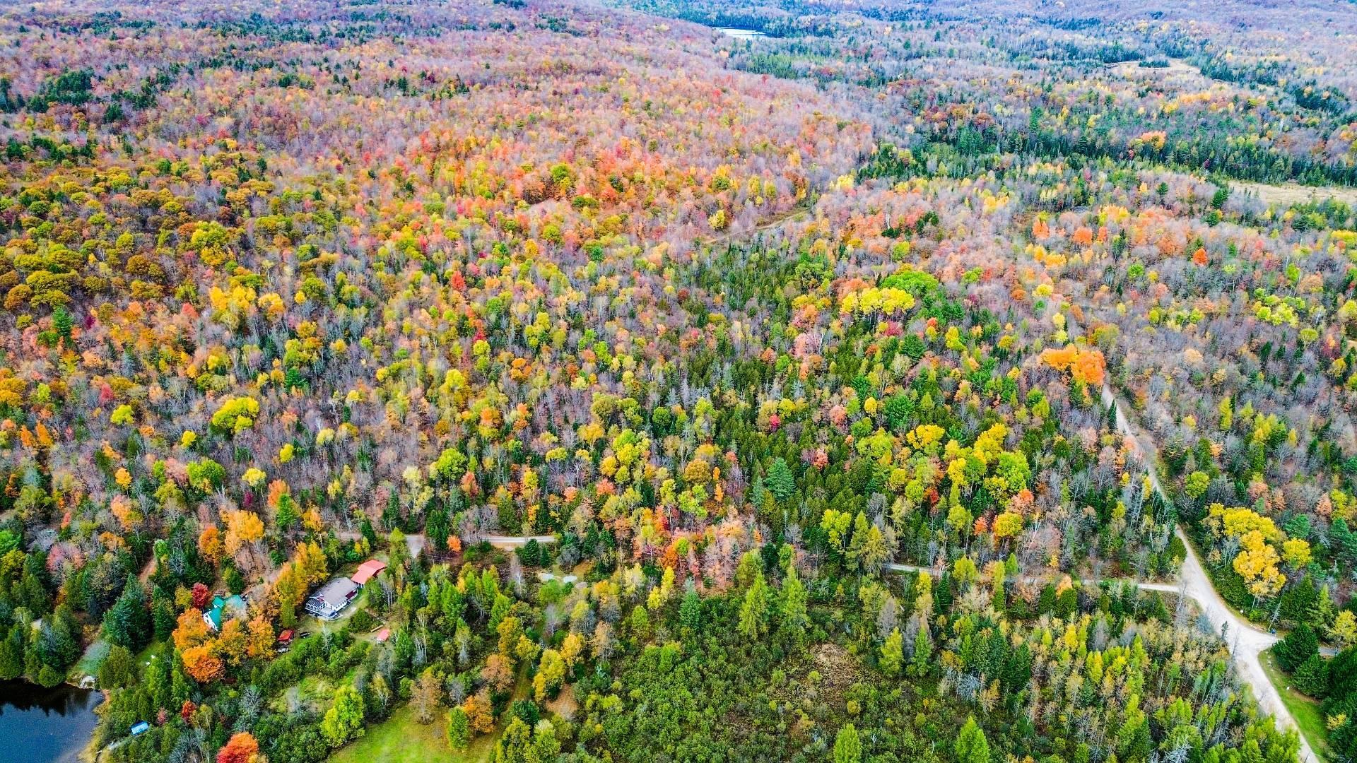 












Ch. Scotch

,
Grenville-sur-la-Rouge,







QC
J0V1B0

