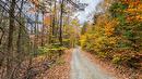 Land/Lot