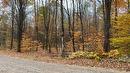Land/Lot