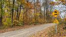Land/Lot