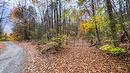 Land/Lot