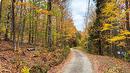 Land/Lot