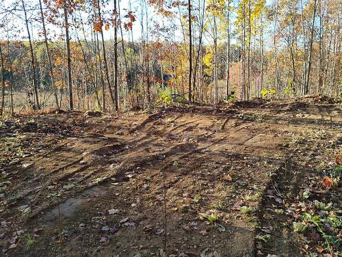 Photo de l'inscription vedette