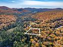 Aerial photo Aerial photo