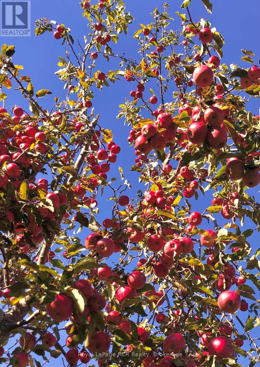 












PTLT 39 CON 25 N E

,
Georgian Bluffs,







Ontario
N0H2T0

