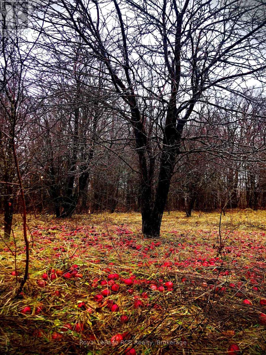 












PTLT 39 CON 25 N E

,
Georgian Bluffs,







Ontario
N0H2T0

