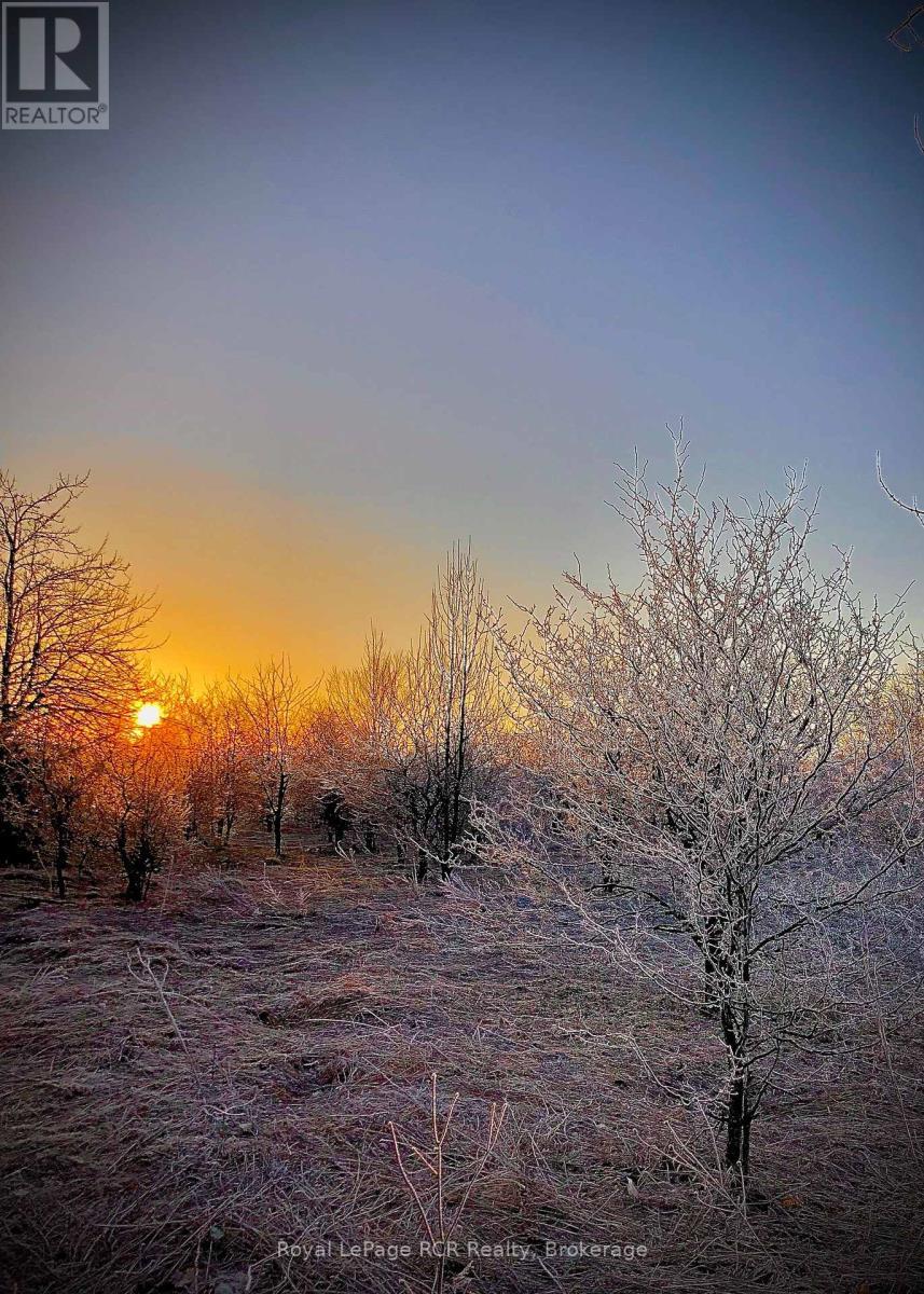 












PTLT 39 CON 25 N E

,
Georgian Bluffs,







Ontario
N0H2T0

