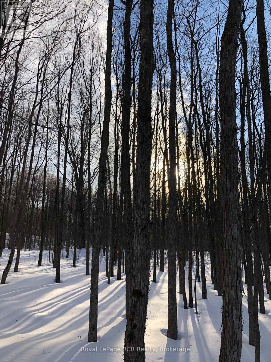 












PTLT 39 CON 25 N E

,
Georgian Bluffs,







Ontario
N0H2T0

