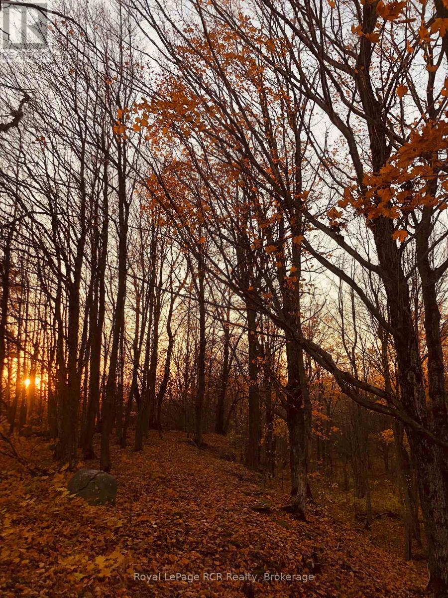 












PTLT 39 CON 25 N E

,
Georgian Bluffs,







Ontario
N0H2T0

