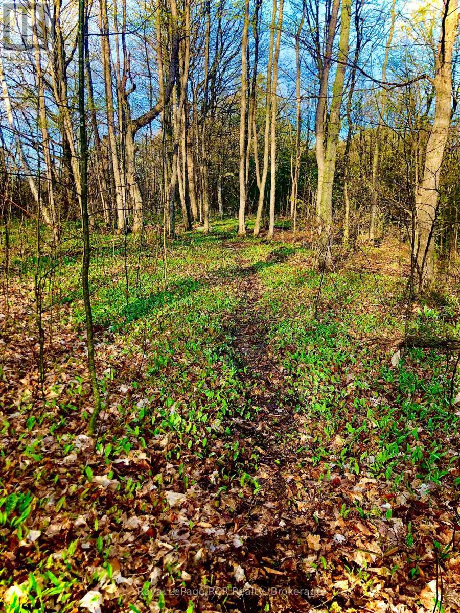 












PTLT 39 CON 25 N E

,
Georgian Bluffs,







Ontario
N0H2T0

