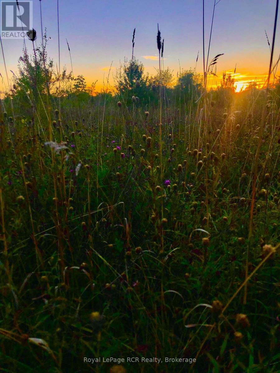 












PTLT 39 CON 25 N E

,
Georgian Bluffs,







Ontario
N0H2T0

