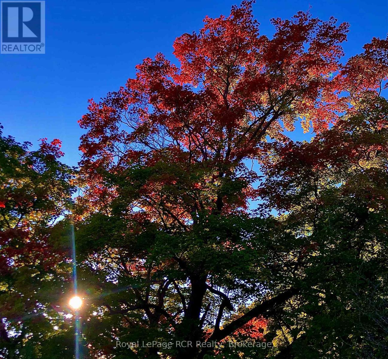 












PTLT 39 CON 25 N E

,
Georgian Bluffs,







Ontario
N0H2T0

