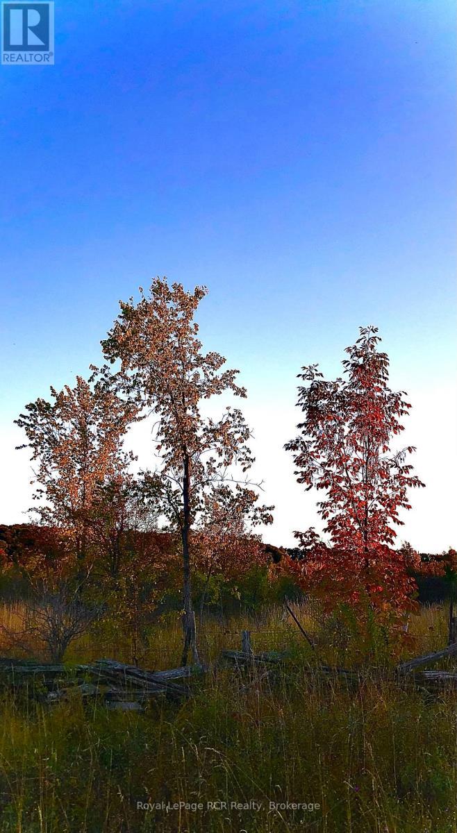 












PTLT 39 CON 25 N E

,
Georgian Bluffs,







Ontario
N0H2T0

