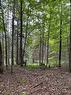 Terre/Terrain Terre/Terrain