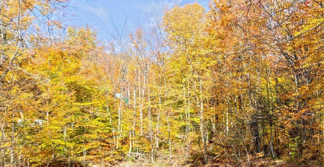 












Route de Tewkesbury

,
Stoneham-et-Tewkesbury,







QC
G2C3A7

