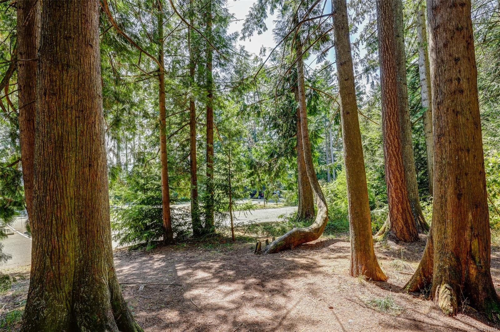 









5945


Kaden

Pl, 101,
Nanaimo,




BC
V9T 0B5

