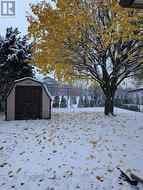 Shed and gate to Millennium trail