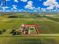 Surrounded by lush vineyards.