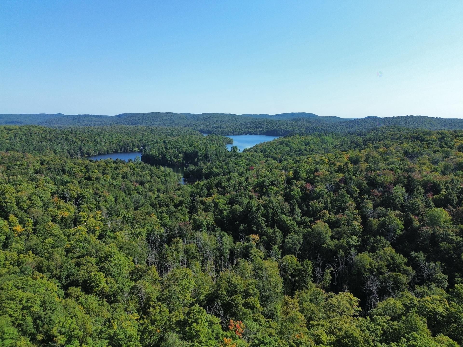 












Rue Non Disponible-Unavailable

,
Harrington,







QC
J8G2S8

