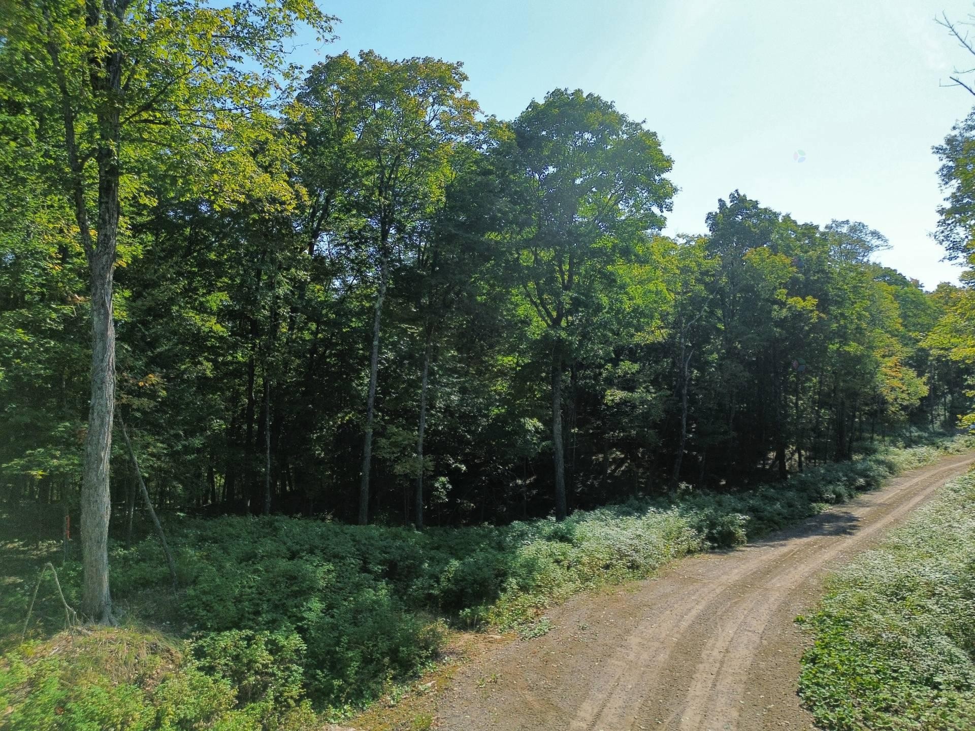 












Rue Non Disponible-Unavailable

,
Harrington,







QC
J8G2S8

