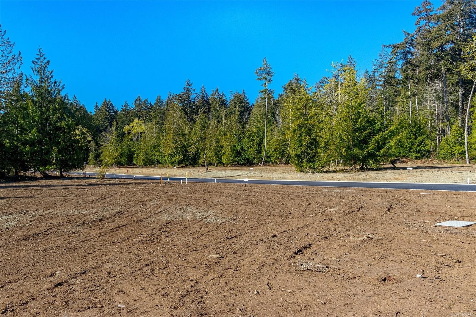 









438 (lot5)


Camassia

Close,
Qualicum Beach,







BC
V9K 1G1

