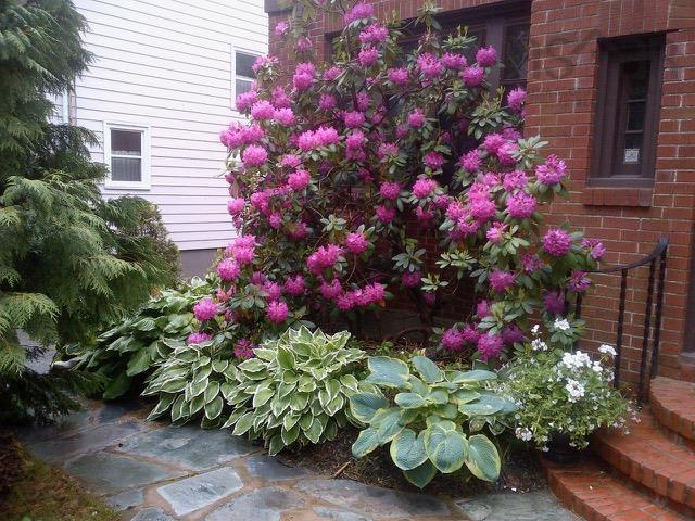 












1950 Connaught Avenue

,
Halifax,




NS
B3H 4E1

