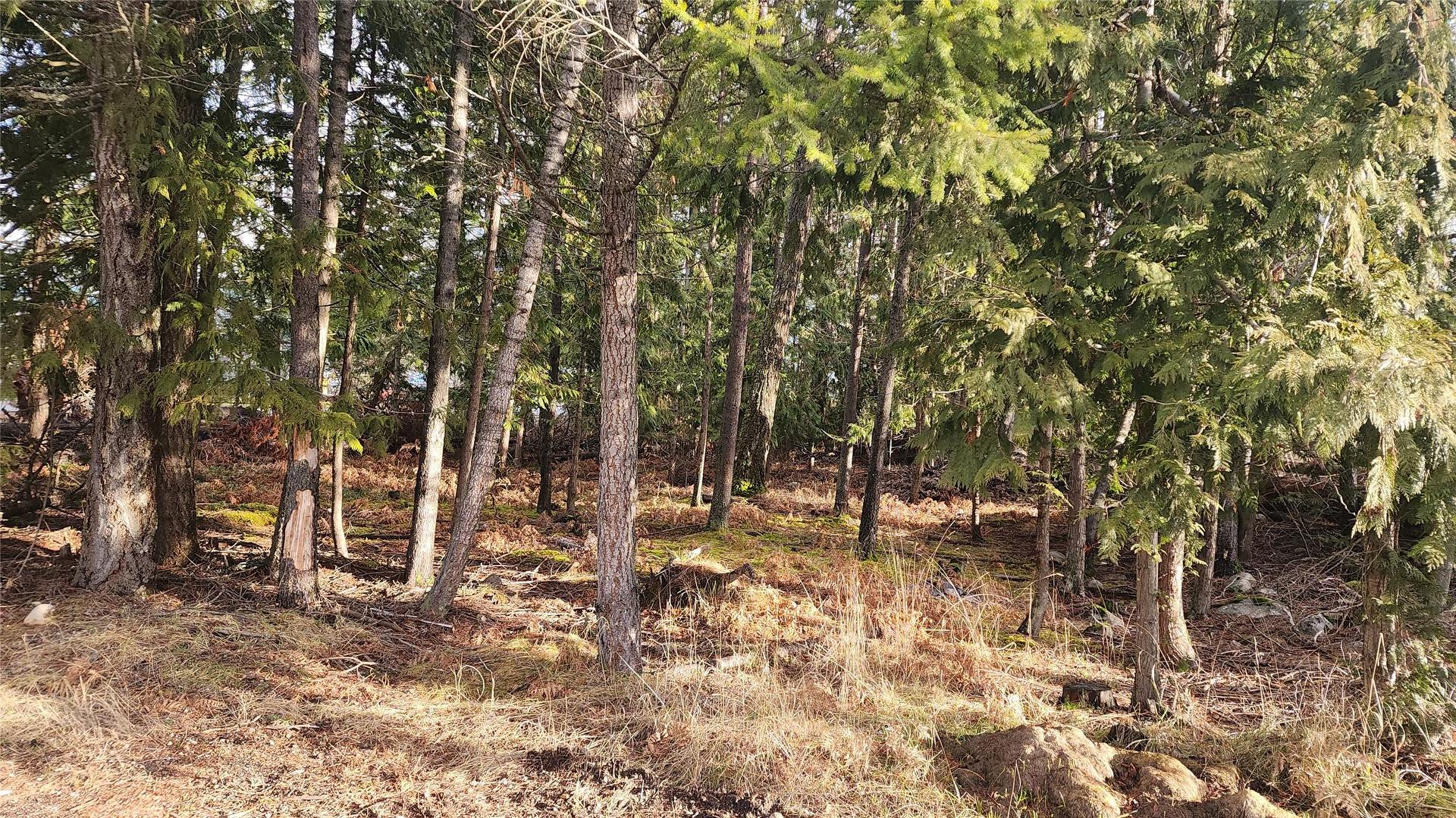 









938


23

Highway,
Nakusp,







BC
V0G 1R0

