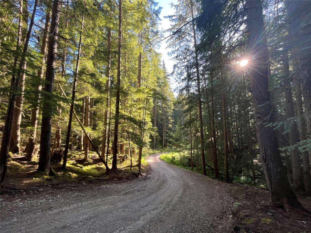 









769


Beech

Road,
Nakusp,







BC
V0G 1R1

