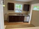 Window above sink and door to backyard