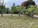Large property with Orchard