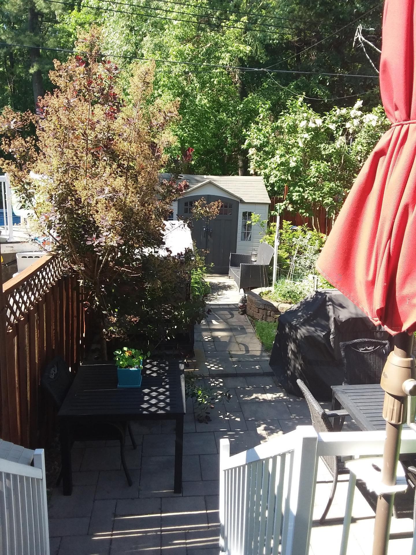 









517


Rue Beausoleil

,
Montréal (Rivière-des-Prairies/Pointe-aux-Trembles),




QC
H1A4G4

