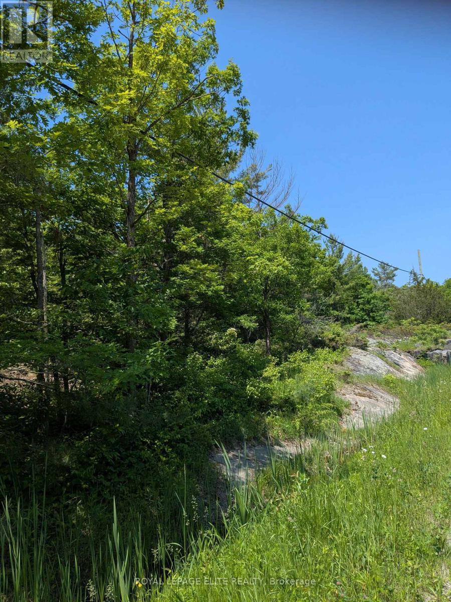 












559 HONEY HARBOUR ROAD

,
Georgian Bay,




Ontario
L0K1S0

