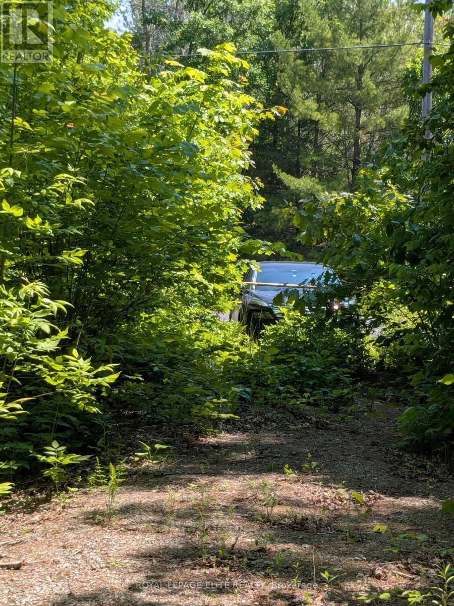 












559 HONEY HARBOUR ROAD

,
Georgian Bay,




Ontario
L0K1S0

