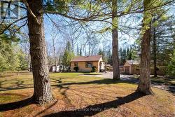 Woodland Retreat on 2.25 acres