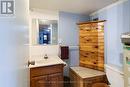 Lower Level Bathroom