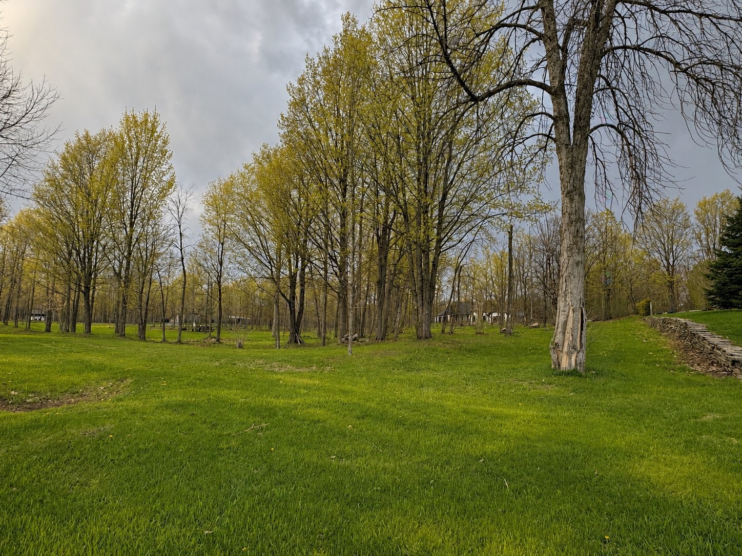 












Route des Outaouais

,
Grenville-sur-la-Rouge,







QC
J0V1B0

