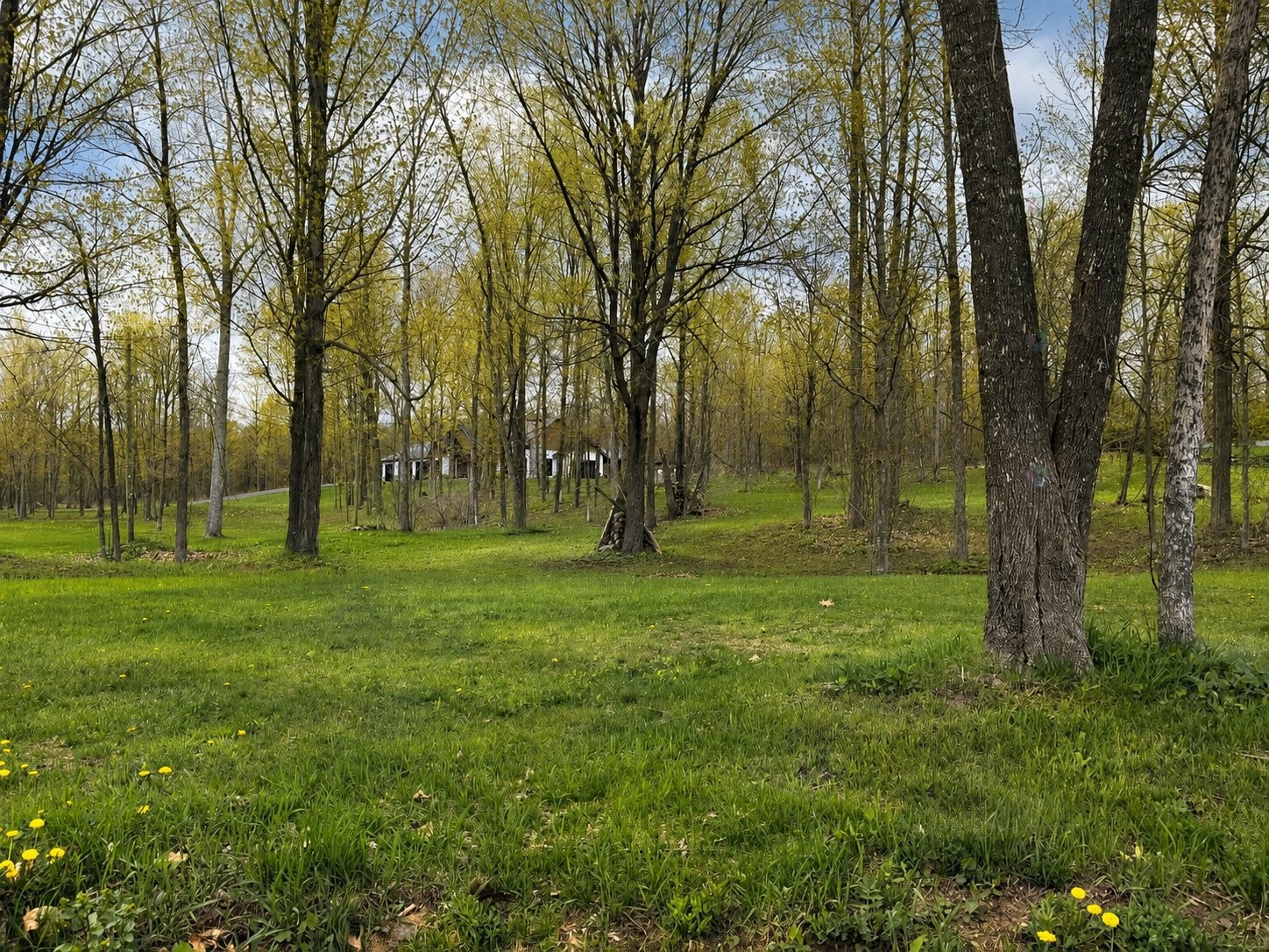 












Route des Outaouais

,
Grenville-sur-la-Rouge,







QC
J0V1B0

