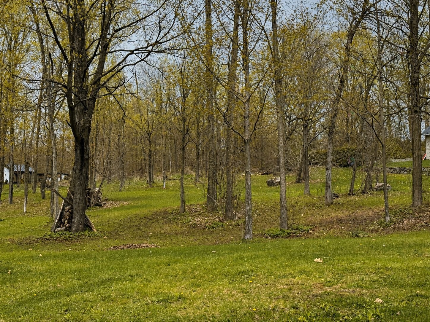 












Route des Outaouais

,
Grenville-sur-la-Rouge,







QC
J0V1B0

