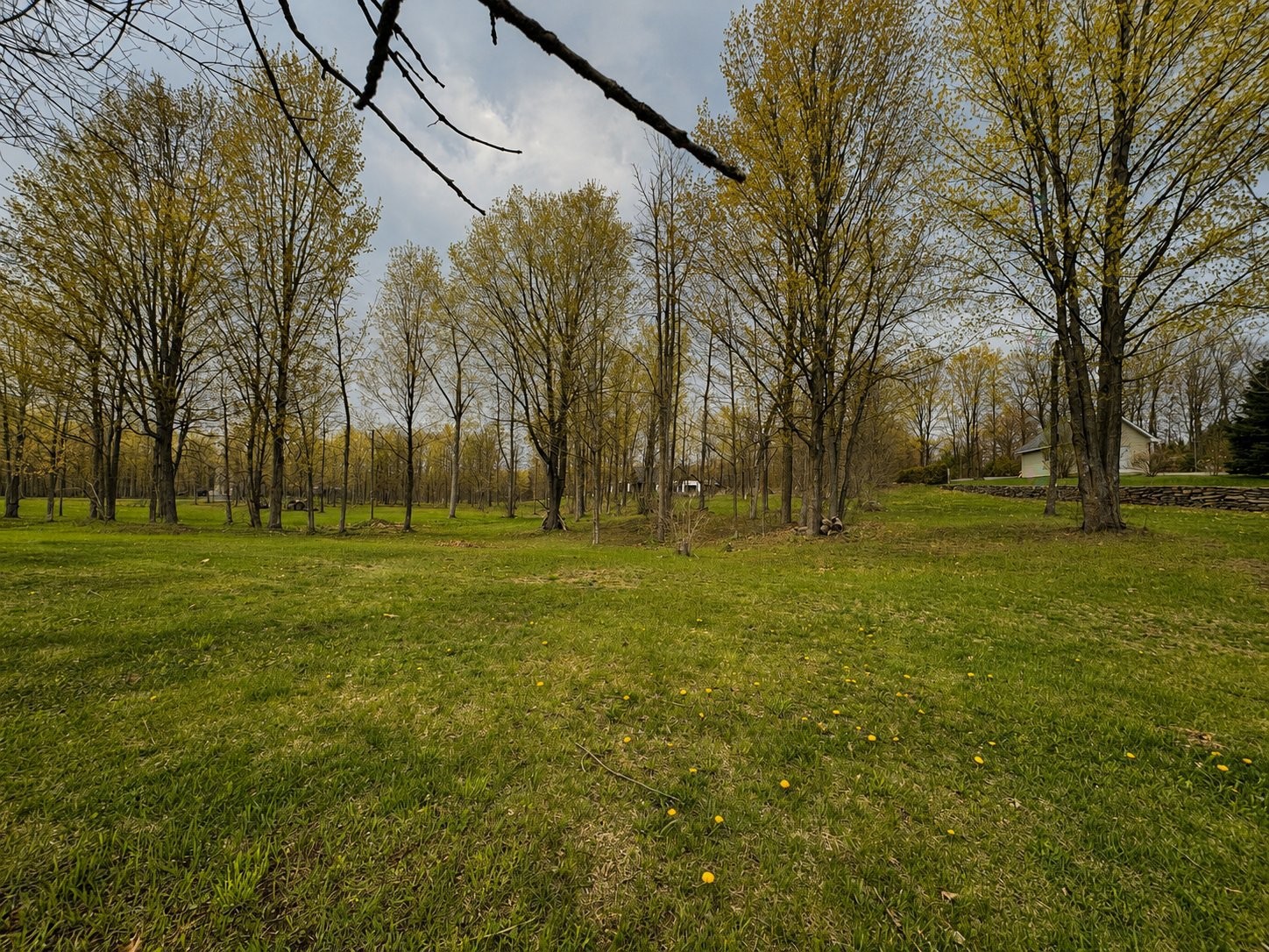 












Route des Outaouais

,
Grenville-sur-la-Rouge,







QC
J0V1B0

