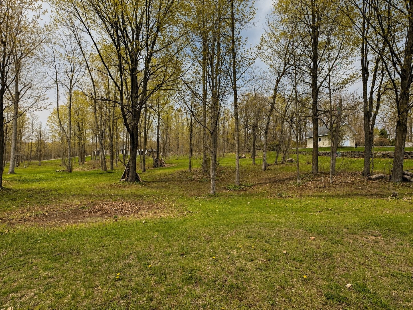 












Route des Outaouais

,
Grenville-sur-la-Rouge,







QC
J0V1B0

