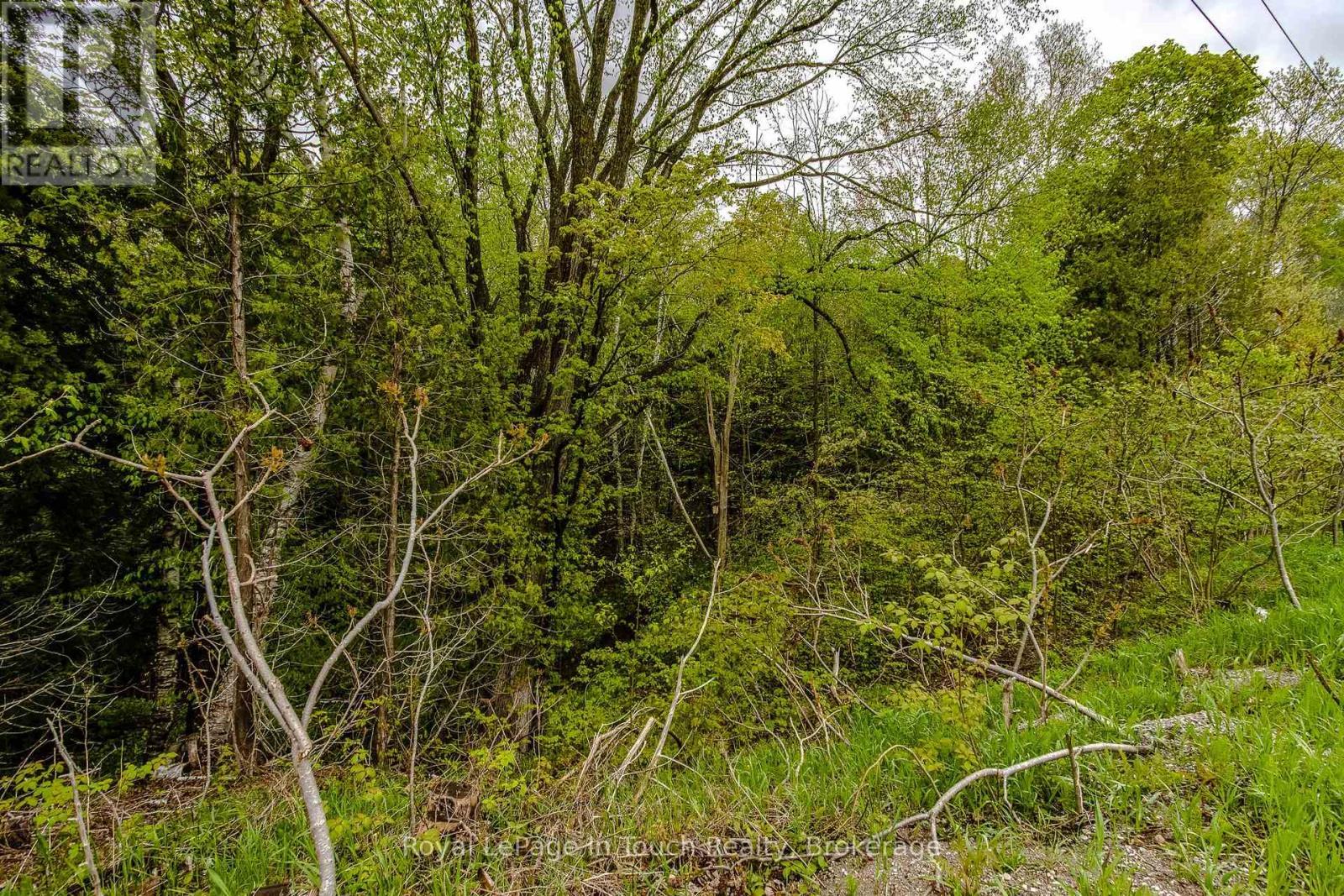 












LOT 1 THUNDER BEACH ROAD

,
Tiny,







Ontario
L9M0T2

