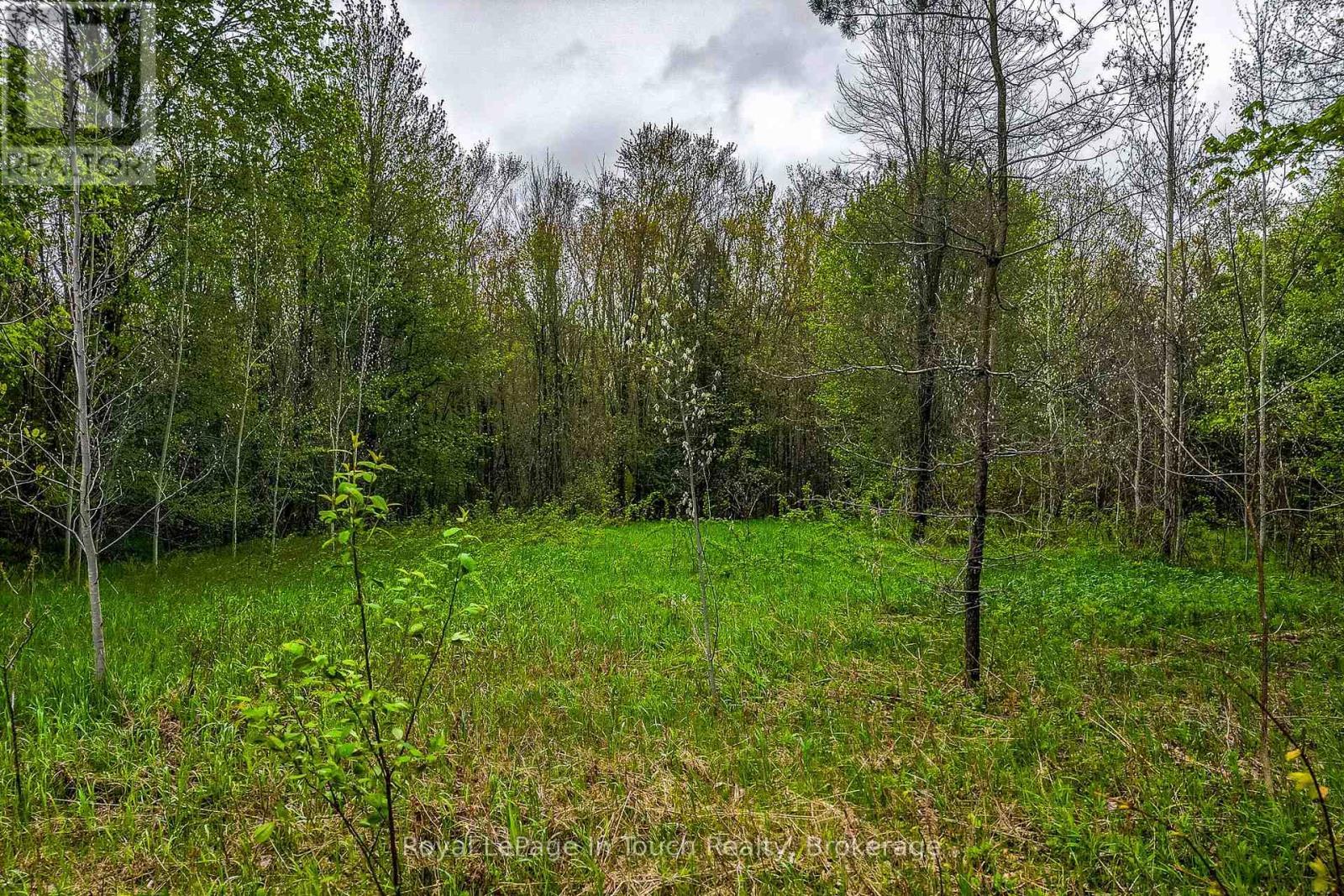 












LOT 2 THUNDER BEACH ROAD

,
Tiny,







Ontario
L9M0T2

