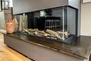 3 Sided Gas Fireplace