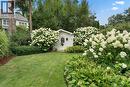 Large garden shed