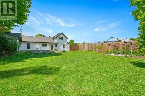 Big Backyard