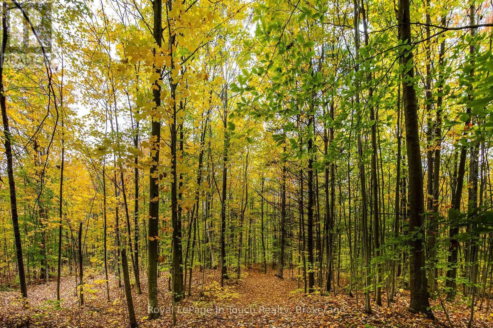 












LOT 14 CONCESSION 18 ROAD W

,
Tiny,







Ontario
L9M0M6

