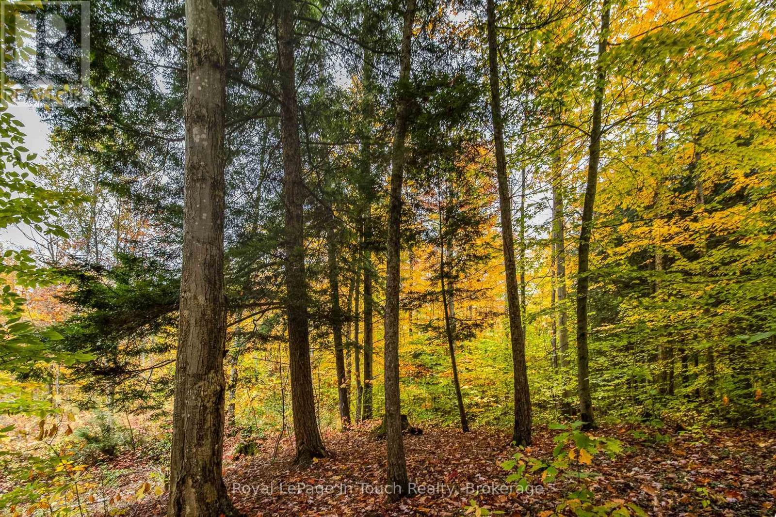 












LOT 14 CONCESSION 18 ROAD W

,
Tiny,







Ontario
L9M0M6

