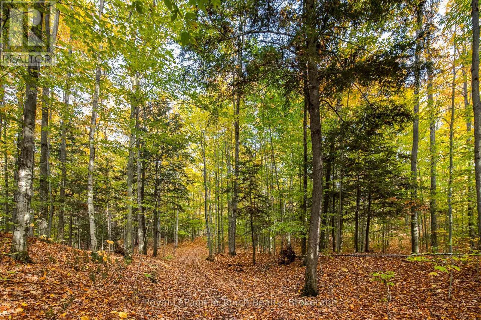 












LOT 14 CONCESSION 18 ROAD W

,
Tiny,







Ontario
L9M0M6

